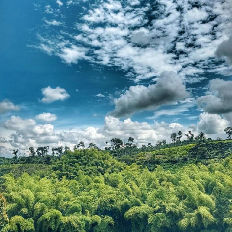 Casa RIO - Luxury Above the River - Deluxe Villa - 88
