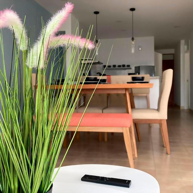 Vive 801 - Apartamento de 2 dormitorios - 12