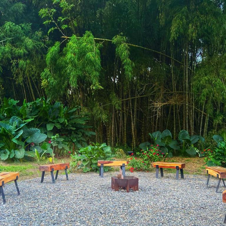 Casa RIO - Luxury Above the River - Deluxe Villa - 17
