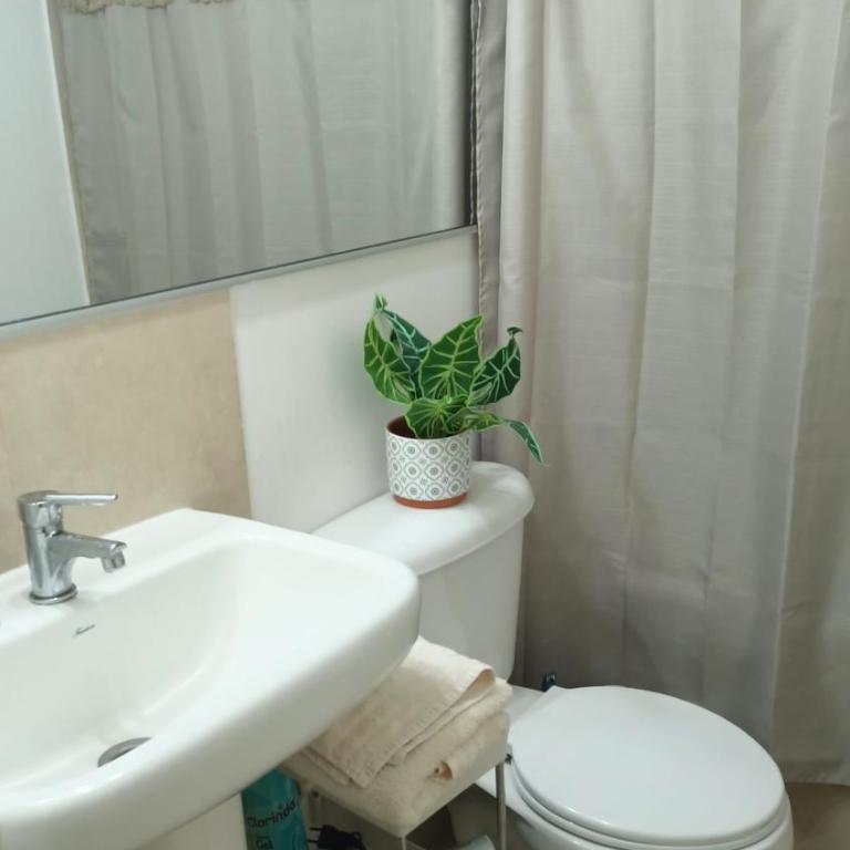 angysol - Single Room - 5