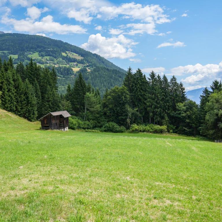 Beim Rauter - Emberger Alm - Ferienhaus mit 3 Schlafzimmern - 61