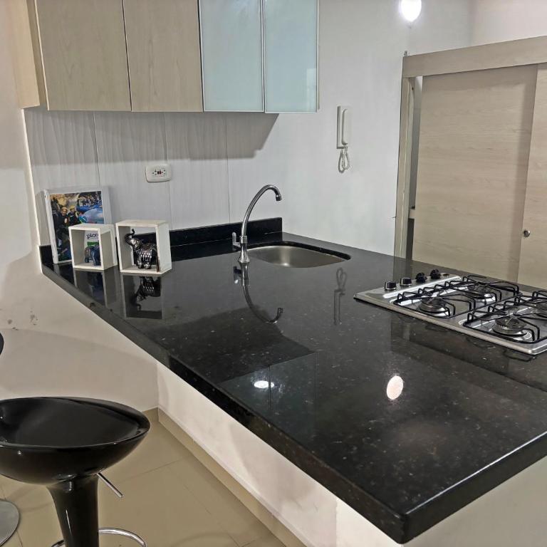 Exclusivo Apartamento Plaza Con Piscina - Two-Bedroom Apartment - 9