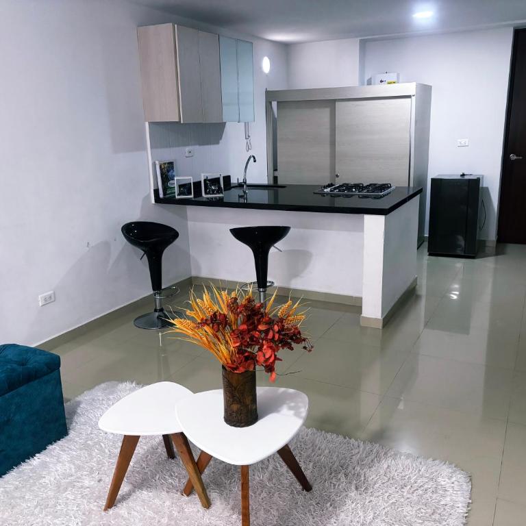 Exclusivo Apartamento Plaza Con Piscina - Two-Bedroom Apartment - 31