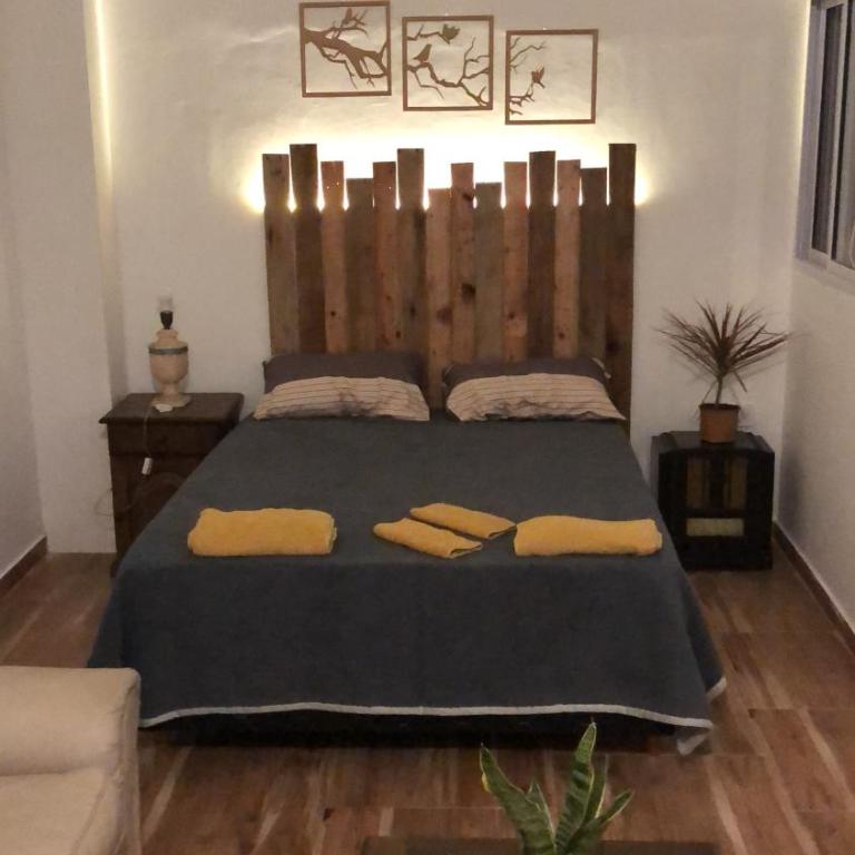 Céntrico y silencioso - Studio Apartment with One Double Bed - 13