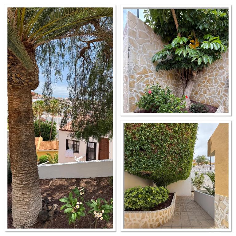 Holabrisas - Apartamento de 2 dormitorios - 36