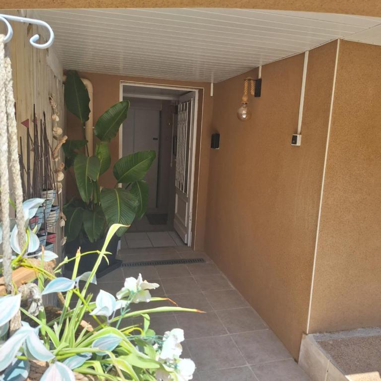 Mimilou Mont St Loup piscine privée - Appartement 1 Chambre - 10