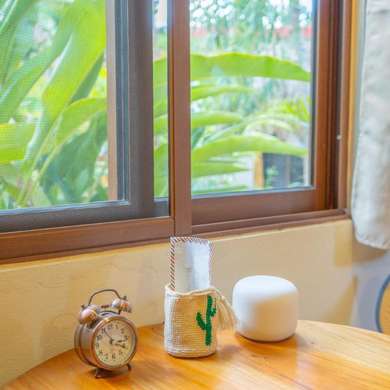 Casa Cactus Buenavista - Bungalow con vistas al jardín - 9