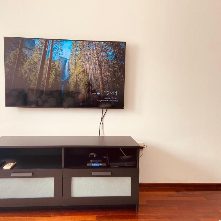 Cozy city apartment Podgorica - Apartman s 1 Spavaćom Sobom i Terasom - 5