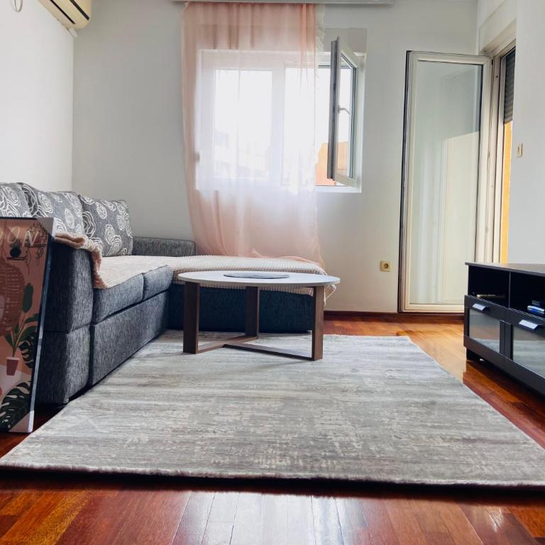 Cozy city apartment Podgorica - Apartman s 1 Spavaćom Sobom i Terasom - 4