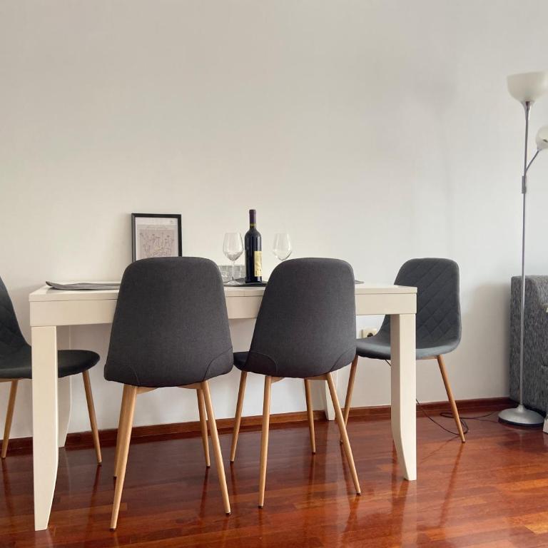 Cozy city apartment Podgorica - Apartman s 1 Spavaćom Sobom i Terasom - 6