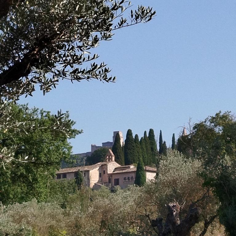 All'Ombra di San Damiano - Camera Familiare con Bagno Privato - 3