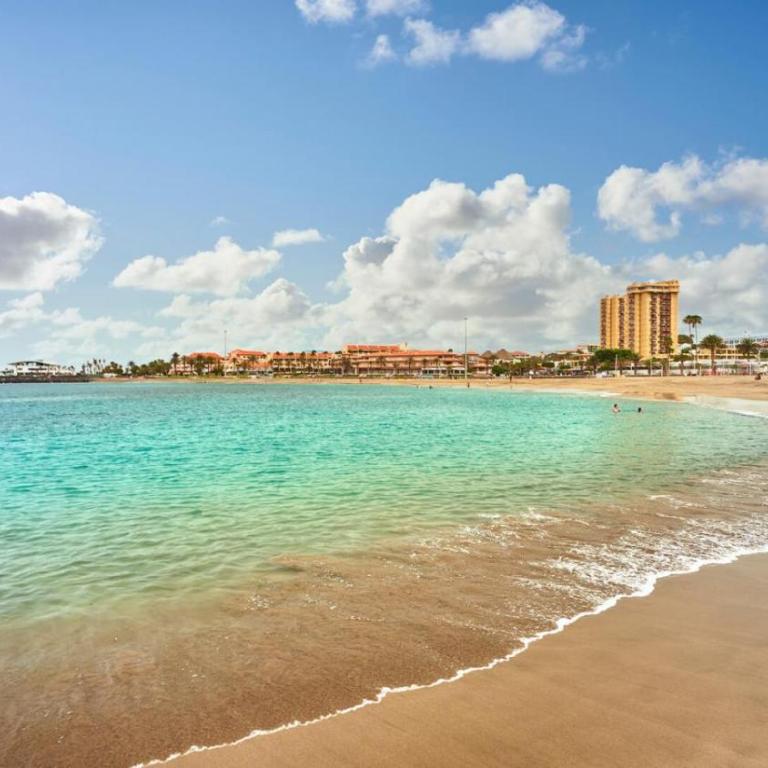 New apartment in Los Cristianos Renovated with AC, Steps from Playa Las Vistas - Apartamento de 1 dormitorio - 20