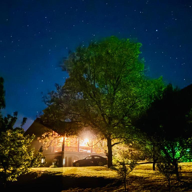 Pine River Dobrenica - Three-Bedroom Chalet - 52