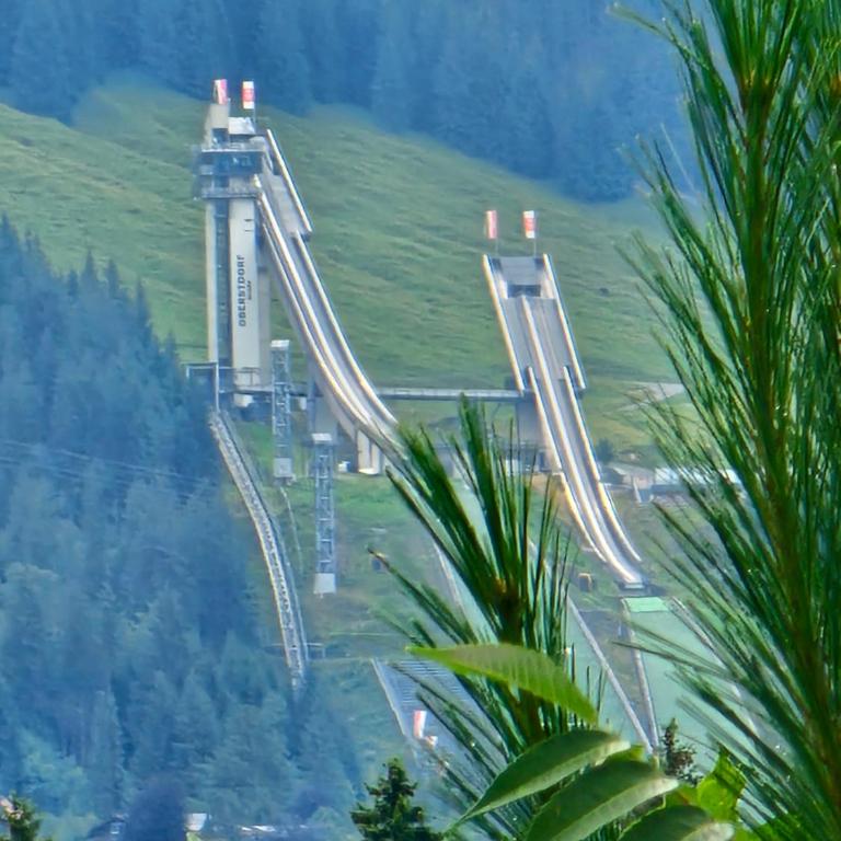 Berghof Mehlan - Apartment mit Blick auf die Berge - 14