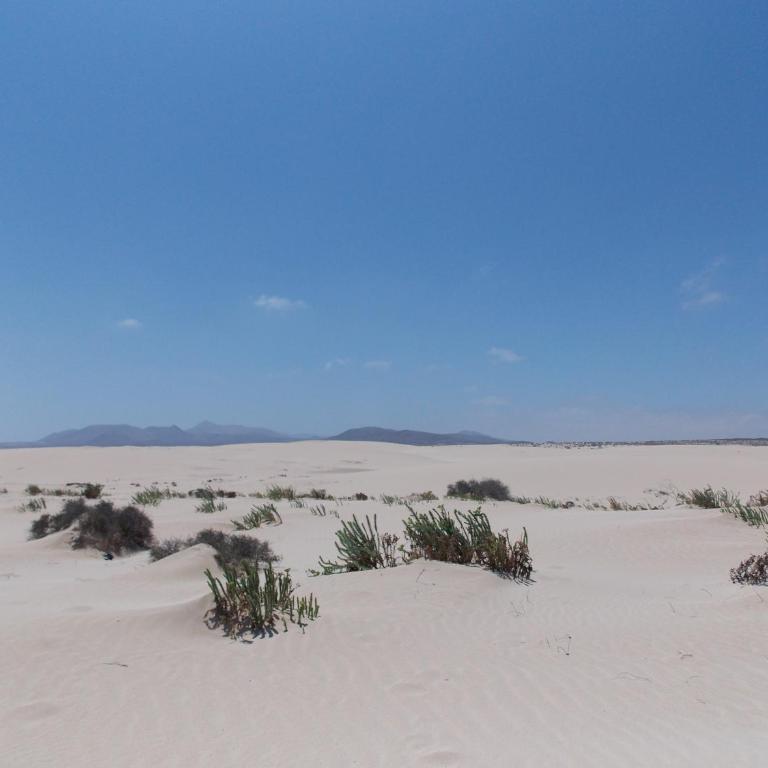 Vida Cotillo - No Stress Holidays - Apartamento de 2 dormitorios - 23