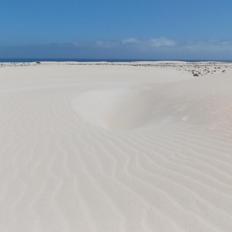 Vida Cotillo - No Stress Holidays - Apartamento de 2 dormitorios - 21