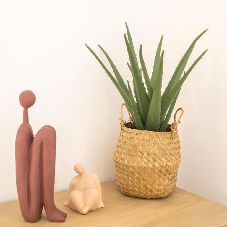 #56 Staywizus - 2P Massena Central close promenade, Old Town, AC - Appartement 1 Chambre - 13