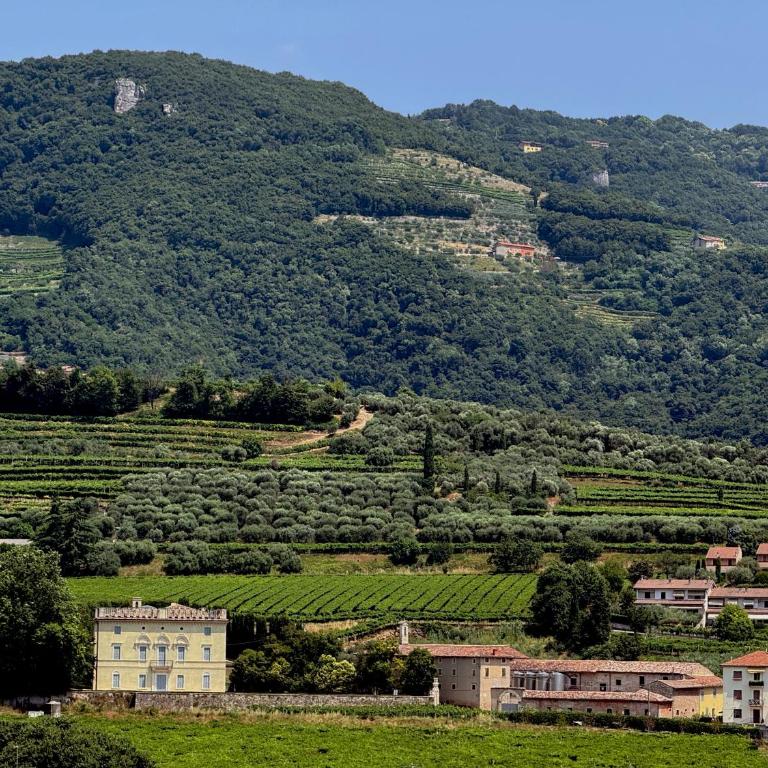 Villa Ulivi - Appartamento con 2 Camere da Letto - 26