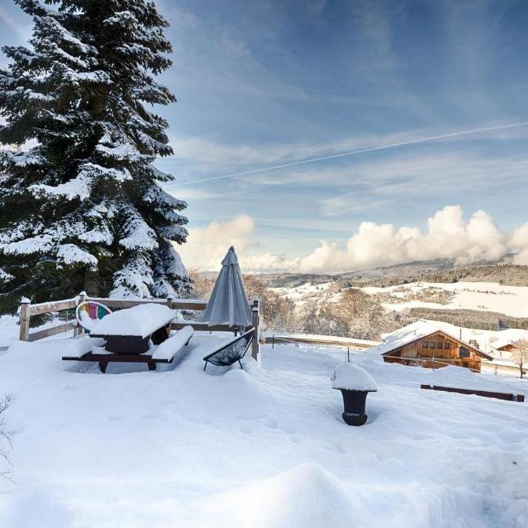 Le Jorat - Appartement - 3
