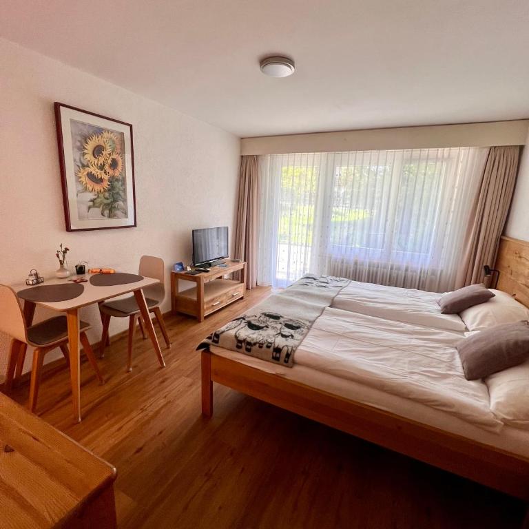 Appartements Elan - Studio with Garden View South - 5