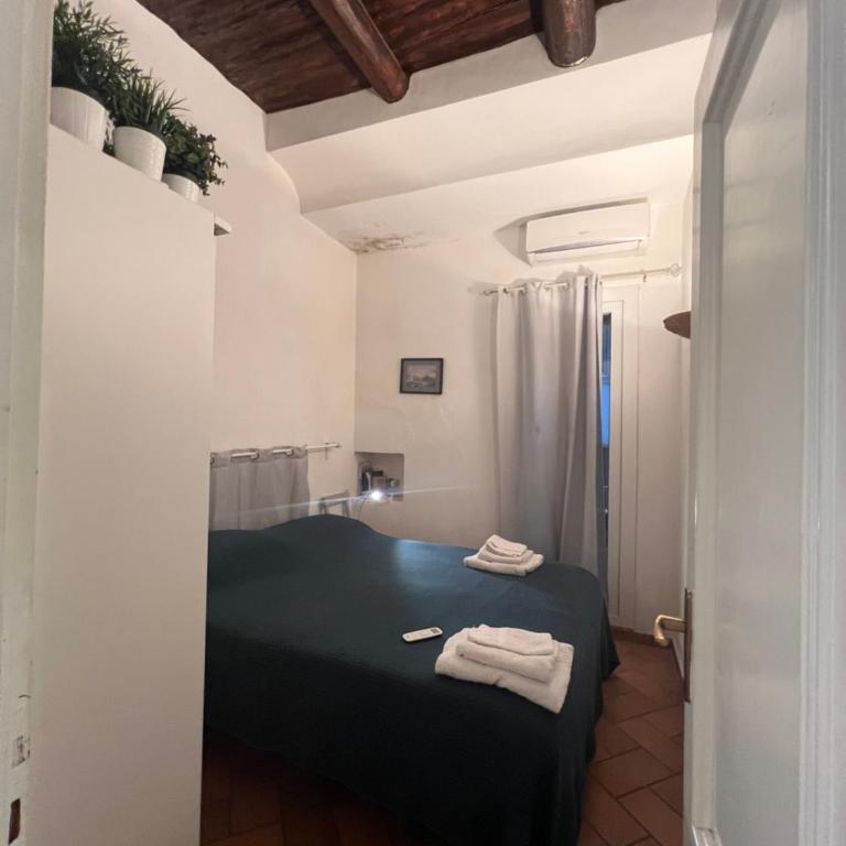 La casa di Licia a due passi da Piazza del Plebiscito - One-Bedroom Apartment with Balcony and City View - 5