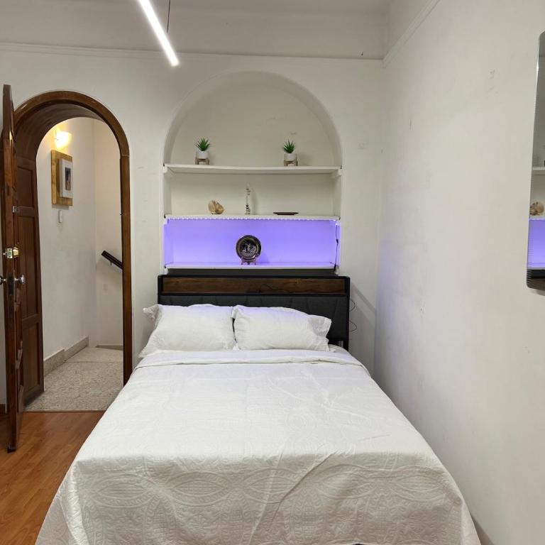 Alojamiento Completo Bed & Breakfast Maison Créole en La Condesa - Villa - 47