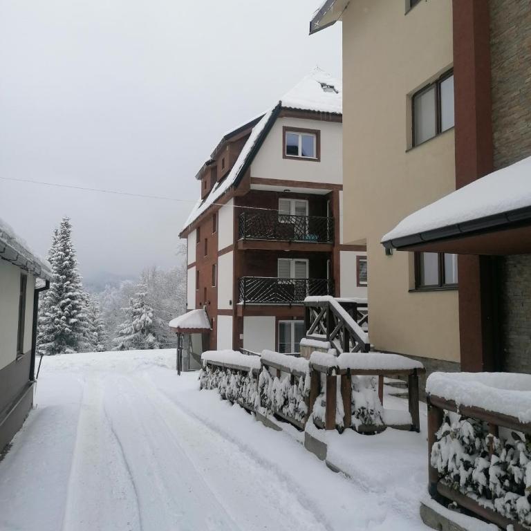 Terrace Studio Kopaonik - Studio avec Balcon - 7