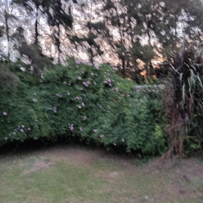 Nuevo hotel - Habitación Doble con vistas al jardín - 6