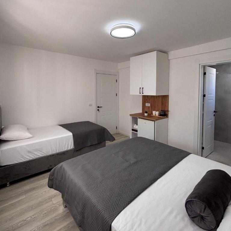 Harasani apartments - Trokrevetna Soba sa Terasom - 4