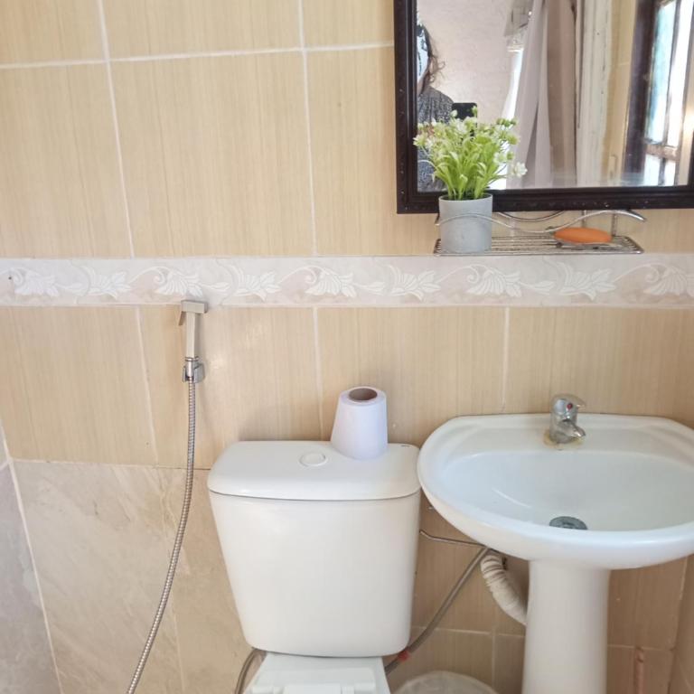 Nuevo hotel - Habitación Doble con vistas al jardín - 7