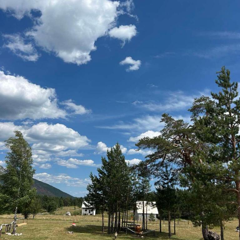 Mountain home Tara - One-Bedroom House - 7