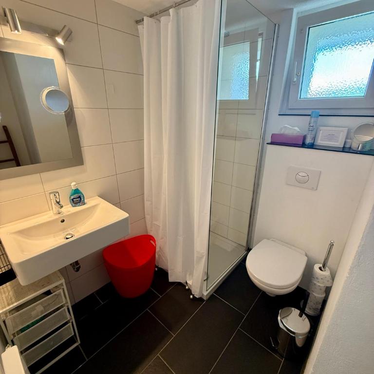 Family Laax Apt Lakeside Mountain Views - Apartment - 8