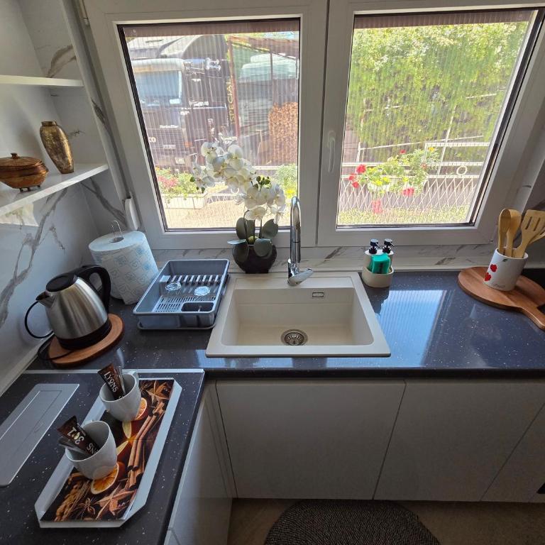 Green Home - One-Bedroom Apartment - 18