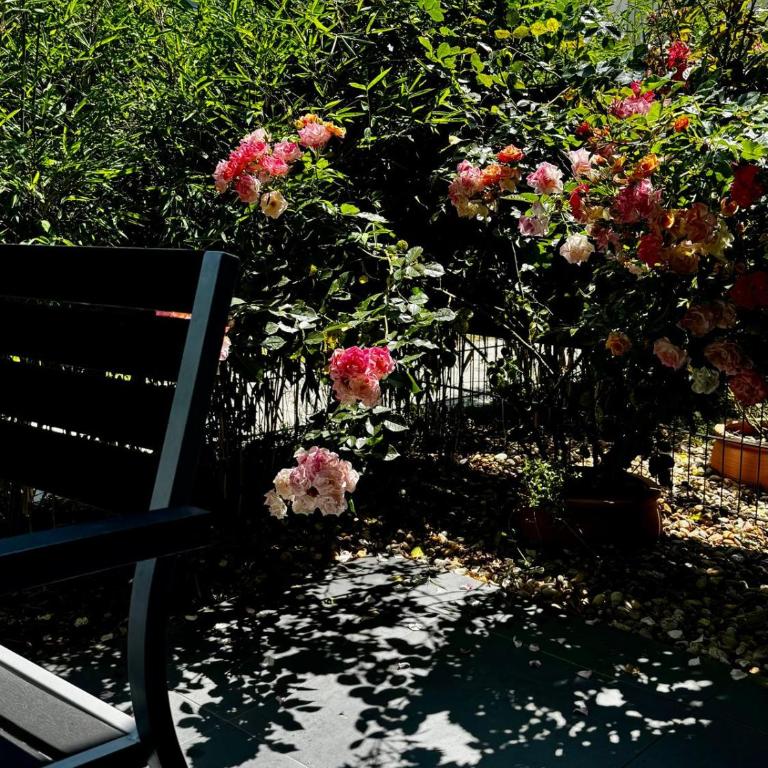 Promenade by BestChoice - Self Check-in with Parking Option - Apartment mit Terrasse - 3