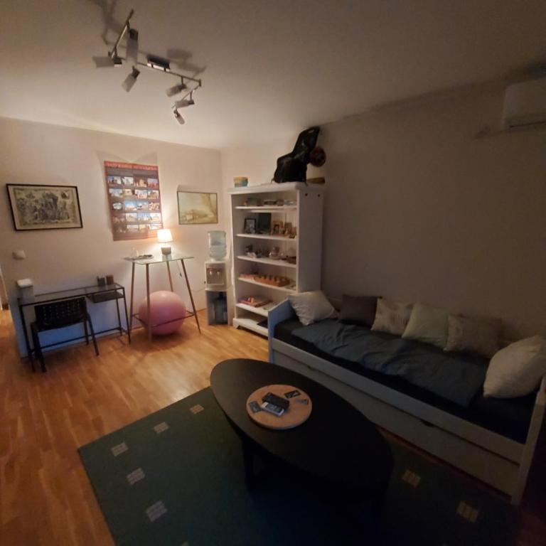 Cosy 2 bedroom apartment in Novi Sad - Apartman sa 1 Spavaćom Sobom - 2