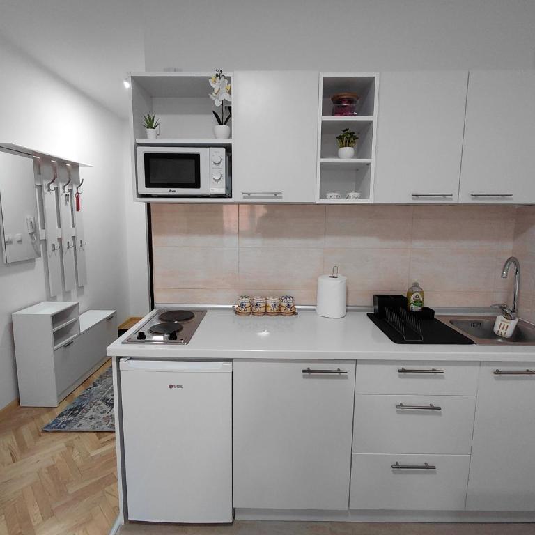 Studio apartman Ljiljana - Apartman sa 1 Spavaćom Sobom - 13