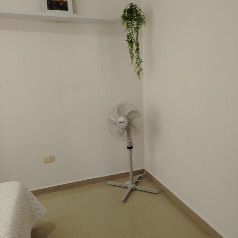 Apartamento en el prado - Habitación Compartida Femenina - 9