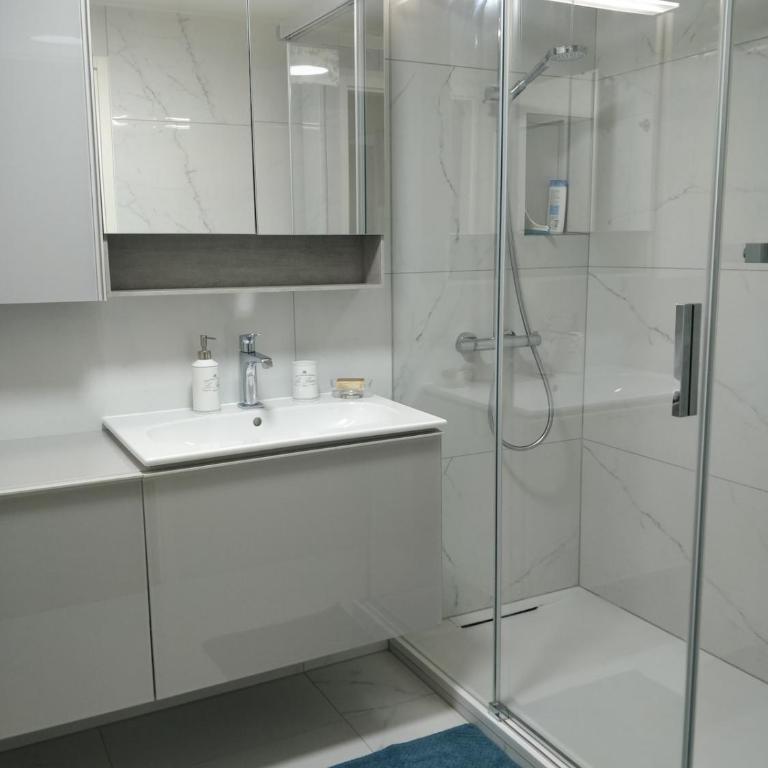 Spacious 2 Bedroom Apartment in Central Geneva - Appartement 2 Chambres avec Balcon - 13