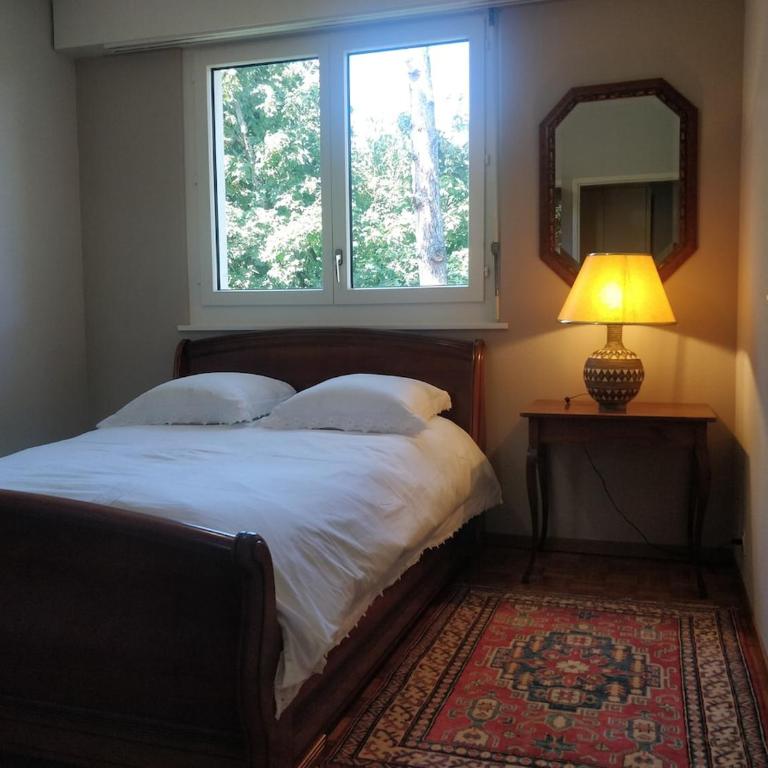 Spacious 2 Bedroom Apartment in Central Geneva - Appartement 2 Chambres avec Balcon - 19