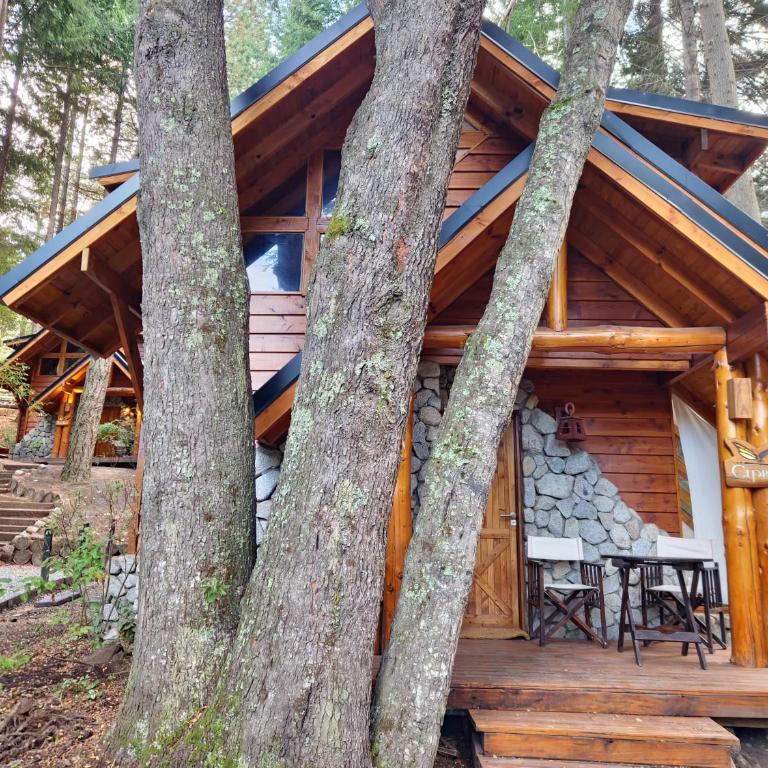 El Remanso - Cipres Cabin, Bahía Manzano - Chalet - 1