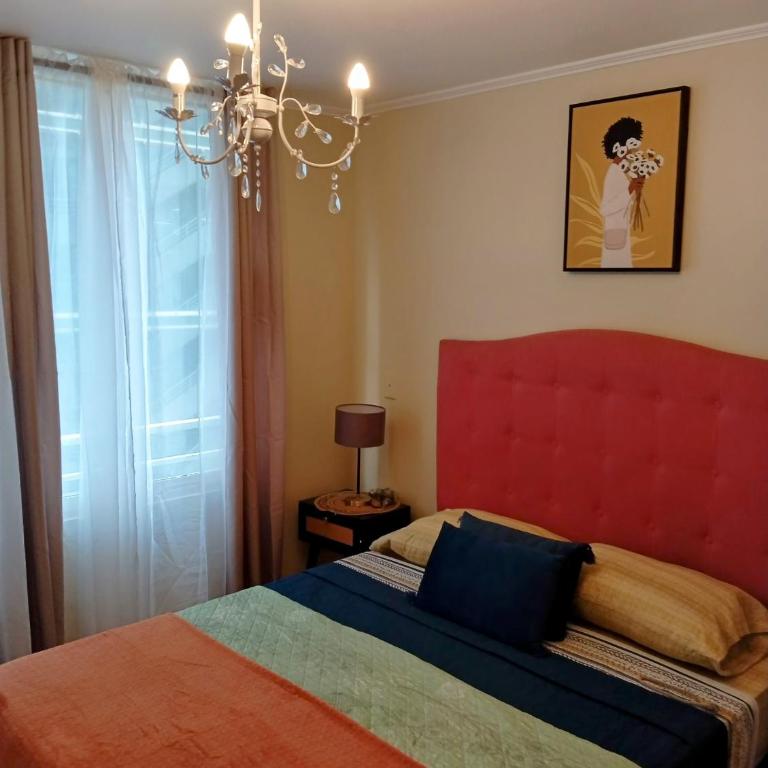 Gran 13 - Apartamento de 1 dormitorio - 1