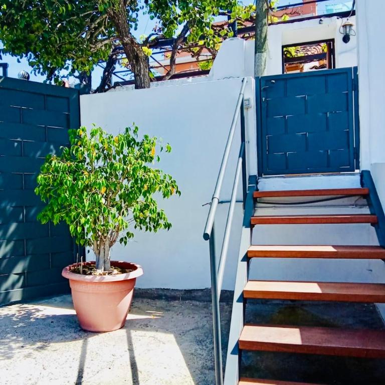 La Garrocha I - Casa con 1 dormitorio - 15