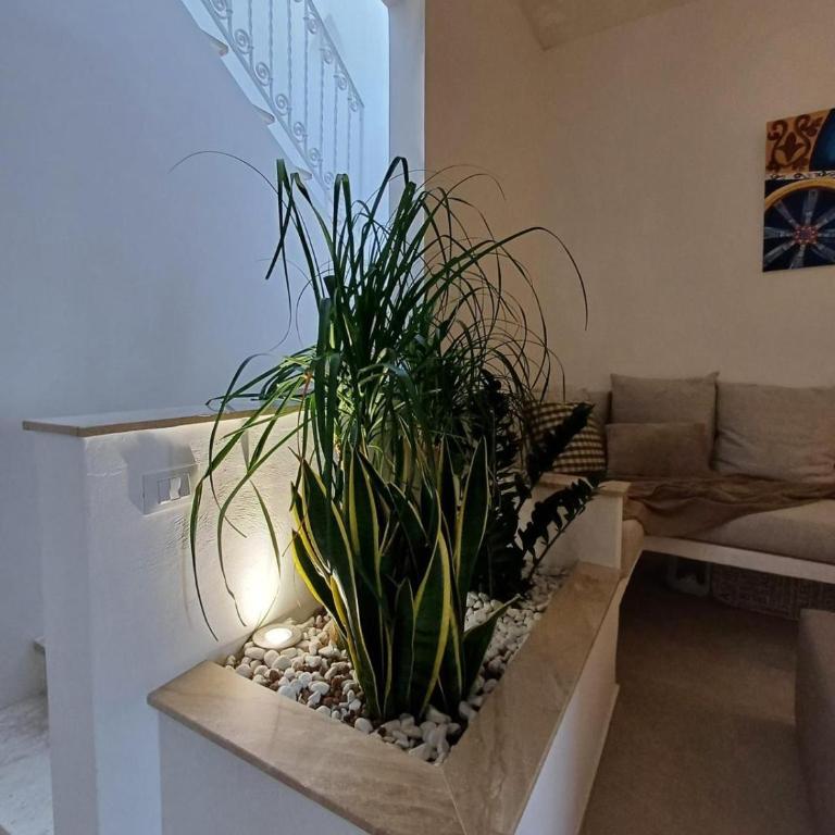 GREEN FRESH - Appartamento con 1 Camera da Letto e Vista Mare - 8