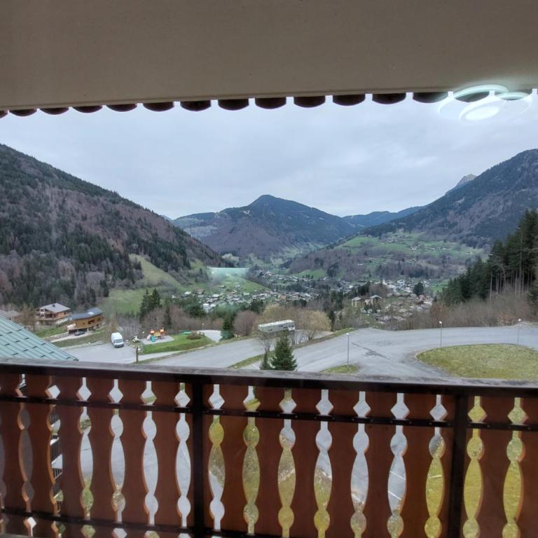Appartement T3 46 M2 avec garage ,cave et vue imprenable - Appartement 3 Chambres - 1