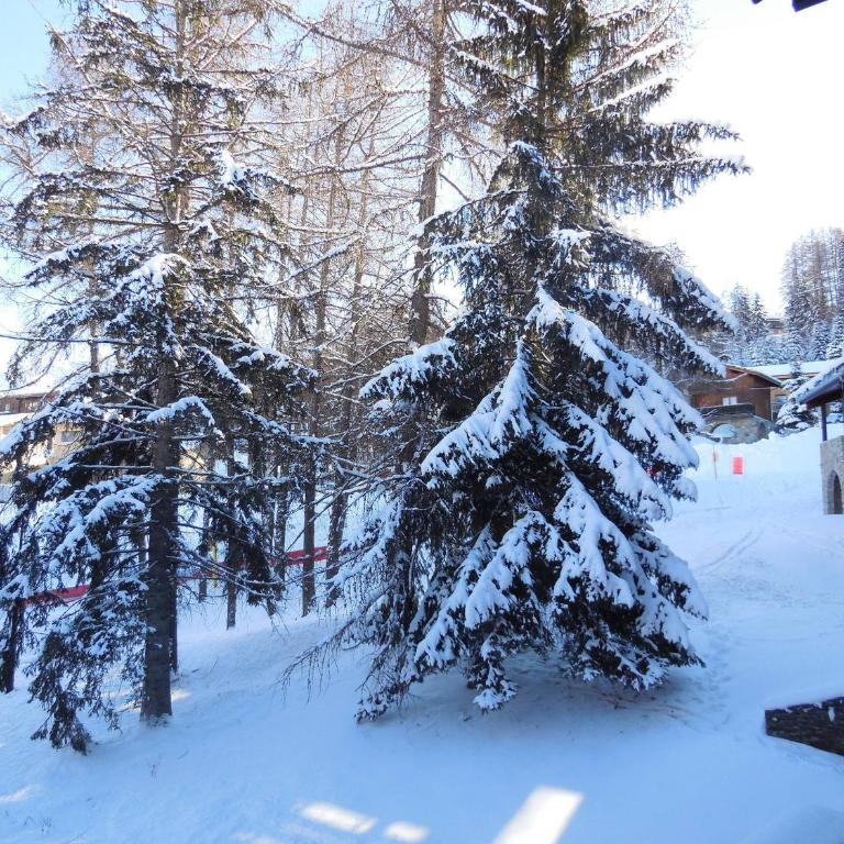 Studio lumineux pour 4 pers à La Plagne - Studio - 9