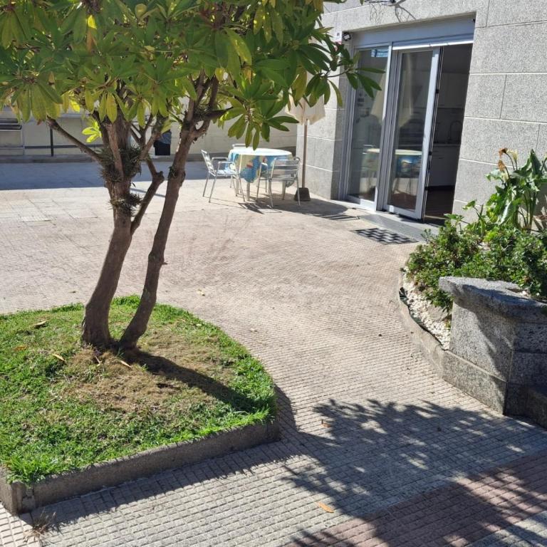 bajo independiente de casa en vigo - Casa de 2 dormitorios - 13