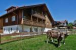 "Viktoria Ferienhaus" - Annehmlichkeiten von 4-Sterne Familien-und Wellnesshotel Viktoria können mitbenutzt werden - Ferienhaus - 26