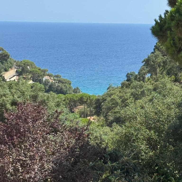 Villa Escorpion Tossa de Mar - Casa de 3 dormitorios - 20