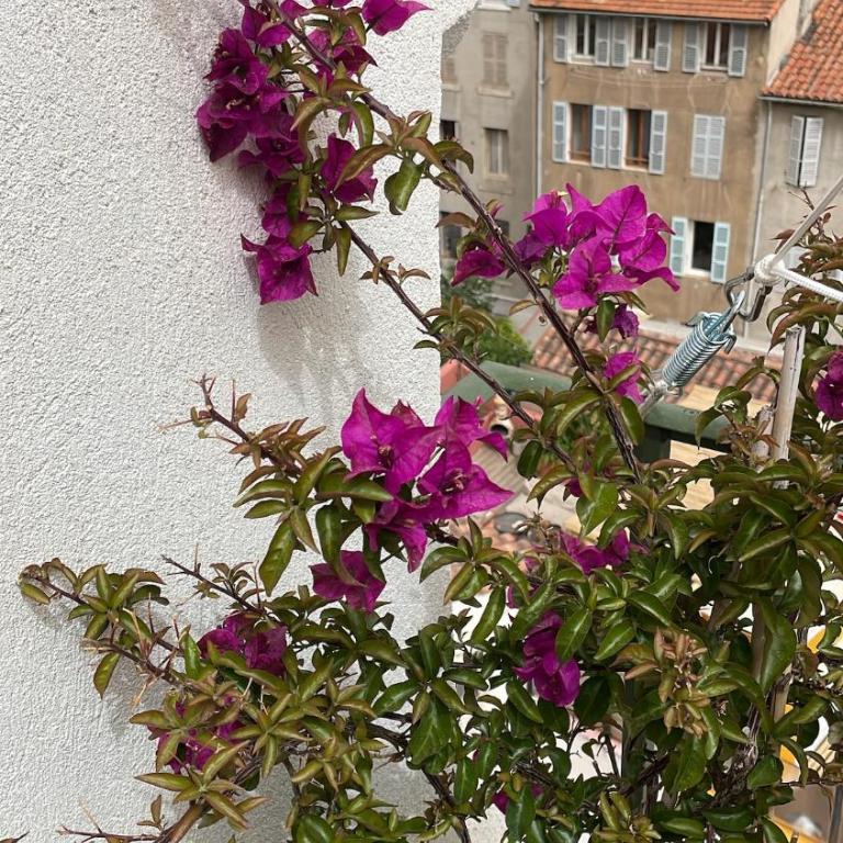 Petite maison de charme avec vue à Vauban - Maison 2 Chambres - 52