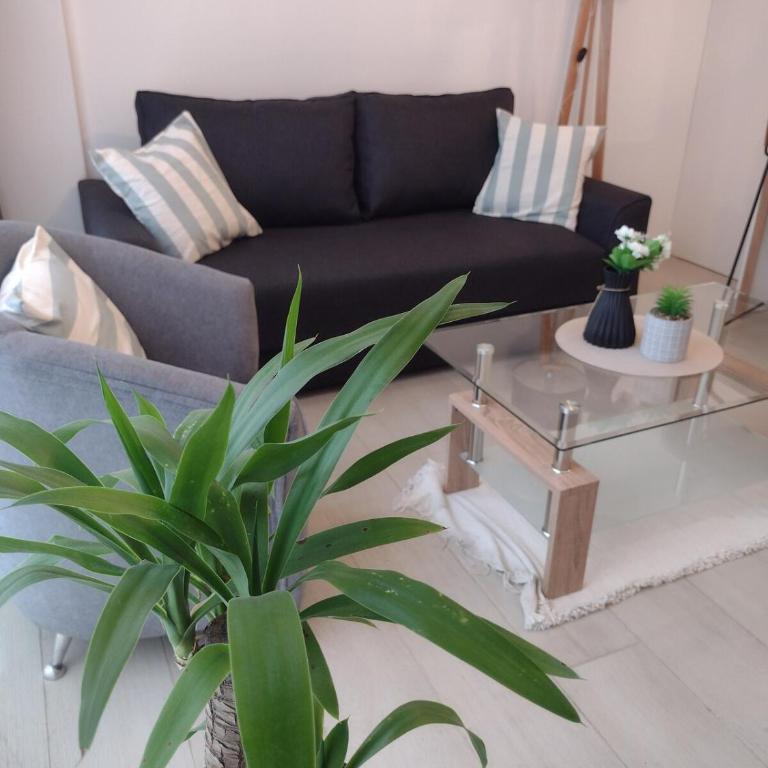 Royal Park Apartment with garage, amenities - Apartamento de 2 dormitorios - 61